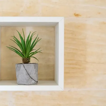 Case de vacanță Twilight *